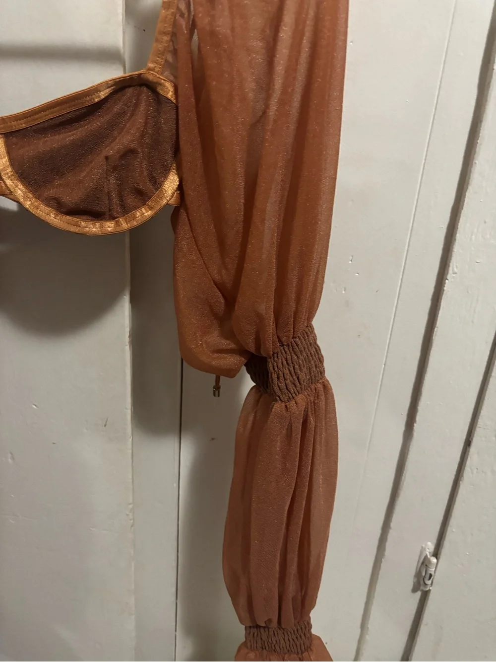 Sheer Rust Mesh Long Sleeve Crop Bralette - Women Intimates
